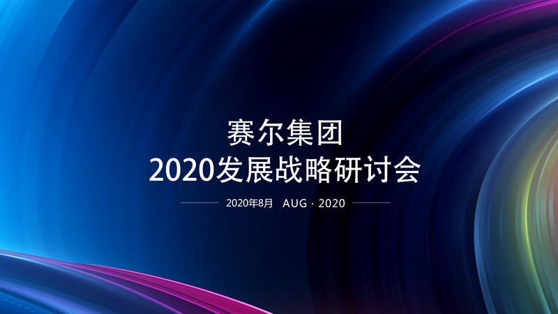 賽爾集團舉辦2020年度發(fā)展戰略研討會(huì )